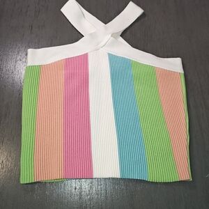 Debut Multicolor Striped Knit Top